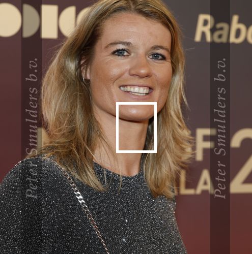 Arnhem 18 december 2024
Sportman van het jaar op Papendal. Sportgala. Dafne Schippers