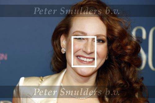 Amsterdam 9 december 2024
Premiere Schitetrend met in de hoofdrollen Holly Brood Gijs Scholten v Asschat Caro Lenssen Hannah Hoekstra Maarten Heijemans Bobbie Mulder Sidar Toksoz  in Tuschinski. Dian Biemans