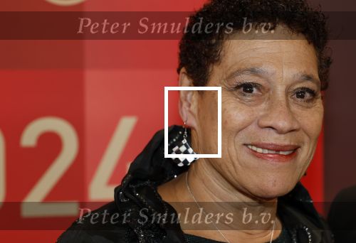 Arnhem 18 december 2024
Sportman van het jaar op Papendal. Sportgala. Enith Brigitha met partner