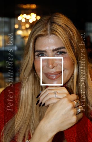 Amsterdam 11 december 2024
Presentatie cover Grazia met daarop Maria Tailor in het Andaz hotel. Estelle Cruijff