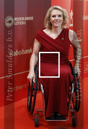 Arnhem 18 december 2024
Sportman van het jaar op Papendal. Sportgala. Esther Vergeer