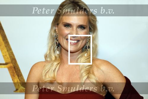 Amsterdam 17 december 2024
Premiere Mufasa (disney) in hotel l\'Europe. Eveline Stallaart kwam met Robin Pors