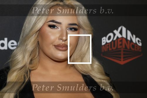 Hilversum 22 december 2024
Boxing infuencers event in studio 21 . Fabiola Volkers
