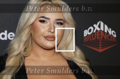 Hilversum 22 december 2024
Boxing infuencers event in studio 21 . Fabiola Volkers