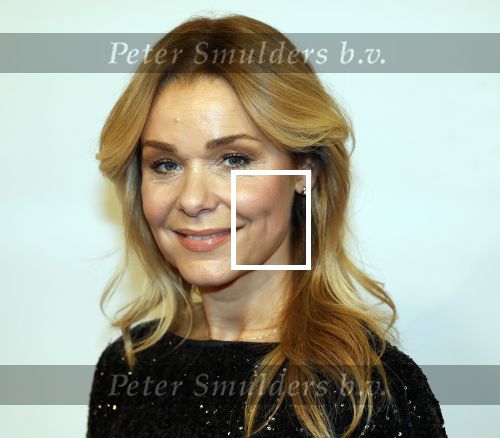 Amsterdam 17 december 2024
Premiere Mufasa (disney) in hotel l\'Europe. froukje de Both met partner en dochter