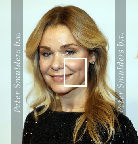 Amsterdam 17 december 2024
Premiere Mufasa (disney) in hotel l\'Europe. froukje de Both met partner en dochter