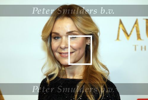 Amsterdam 17 december 2024
Premiere Mufasa (disney) in hotel l\'Europe. froukje de Both met partner en dochter