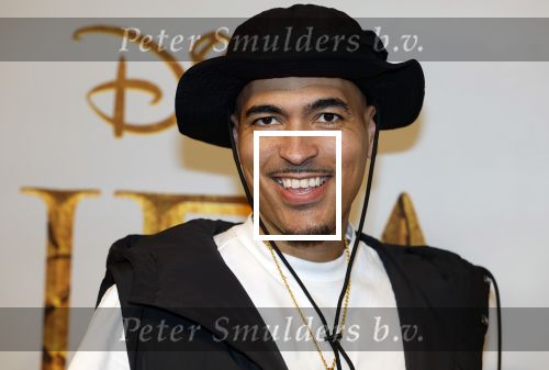Amsterdam 17 december 2024
Premiere Mufasa (disney) in hotel l\'Europe. Gabs Wildebras