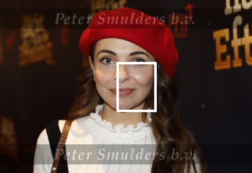 Tilburg 22 december 2024
Premiere theatershow Efteling in schouwburg van Tilburg Georgina Verbaan