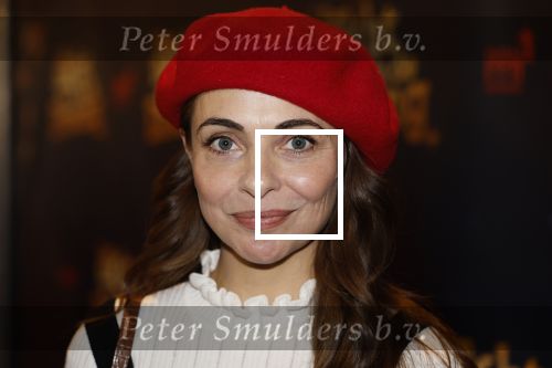 Tilburg 22 december 2024
Premiere theatershow Efteling in schouwburg van Tilburg Georgina Verbaan