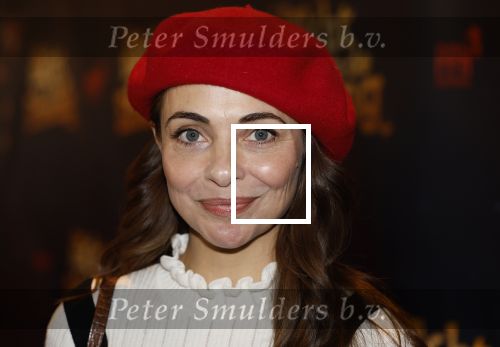 Tilburg 22 december 2024
Premiere theatershow Efteling in schouwburg van Tilburg Georgina Verbaan