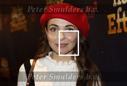 Tilburg 22 december 2024
Premiere theatershow Efteling in schouwburg van Tilburg Georgina Verbaan