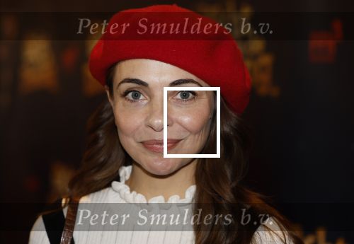 Tilburg 22 december 2024
Premiere theatershow Efteling in schouwburg van Tilburg Georgina Verbaan