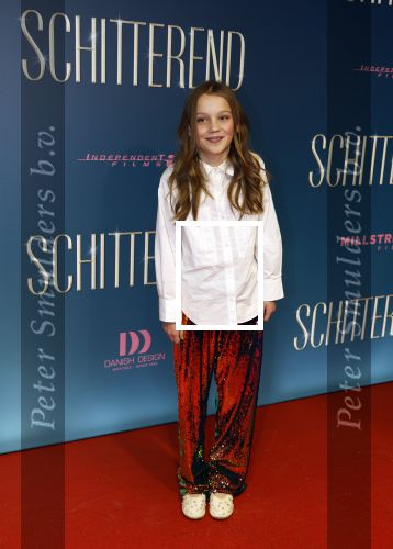 Amsterdam 9 december 2024
Premiere Schitetrend met in de hoofdrollen Holly Brood Gijs Scholten v Asschat Caro Lenssen Hannah Hoekstra Maarten Heijemans Bobbie Mulder Sidar Toksoz  in Tuschinski. Guusje Vos