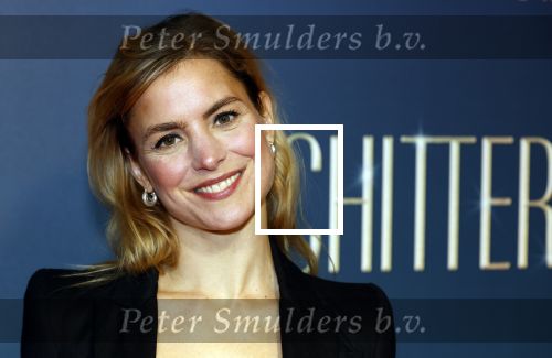 Amsterdam 9 december 2024
Premiere Schitetrend met in de hoofdrollen Holly Brood Gijs Scholten v Asschat Caro Lenssen Hannah Hoekstra Maarten Heijemans Bobbie Mulder Sidar Toksoz  in Tuschinski.