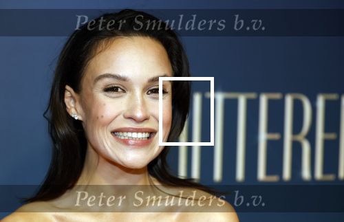 Amsterdam 9 december 2024
Premiere Schitetrend met in de hoofdrollen Holly Brood Gijs Scholten v Asschat Caro Lenssen Hannah Hoekstra Maarten Heijemans Bobbie Mulder Sidar Toksoz  in Tuschinski.