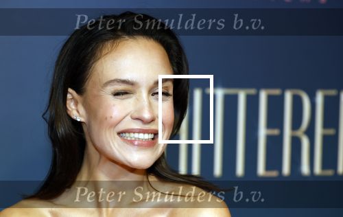 Amsterdam 9 december 2024
Premiere Schitetrend met in de hoofdrollen Holly Brood Gijs Scholten v Asschat Caro Lenssen Hannah Hoekstra Maarten Heijemans Bobbie Mulder Sidar Toksoz  in Tuschinski.