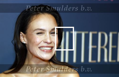 Amsterdam 9 december 2024
Premiere Schitetrend met in de hoofdrollen Holly Brood Gijs Scholten v Asschat Caro Lenssen Hannah Hoekstra Maarten Heijemans Bobbie Mulder Sidar Toksoz  in Tuschinski.