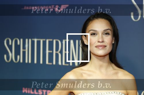 Amsterdam 9 december 2024
Premiere Schitetrend met in de hoofdrollen Holly Brood Gijs Scholten v Asschat Caro Lenssen Hannah Hoekstra Maarten Heijemans Bobbie Mulder Sidar Toksoz  in Tuschinski.
