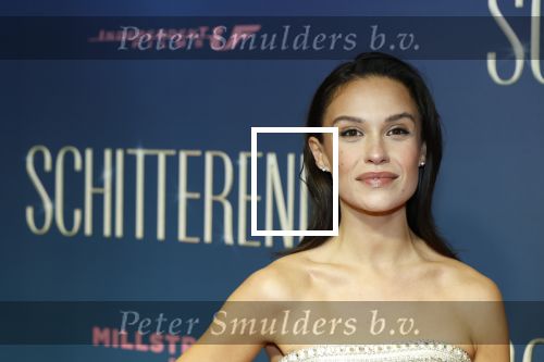 Amsterdam 9 december 2024
Premiere Schitetrend met in de hoofdrollen Holly Brood Gijs Scholten v Asschat Caro Lenssen Hannah Hoekstra Maarten Heijemans Bobbie Mulder Sidar Toksoz  in Tuschinski.