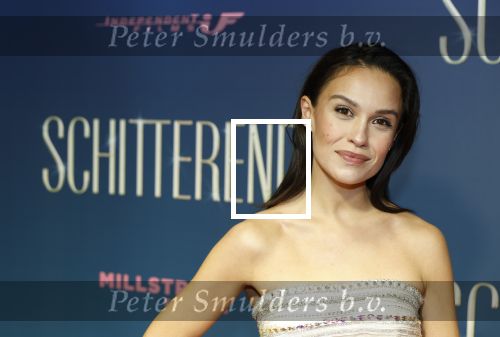 Amsterdam 9 december 2024
Premiere Schitetrend met in de hoofdrollen Holly Brood Gijs Scholten v Asschat Caro Lenssen Hannah Hoekstra Maarten Heijemans Bobbie Mulder Sidar Toksoz  in Tuschinski.