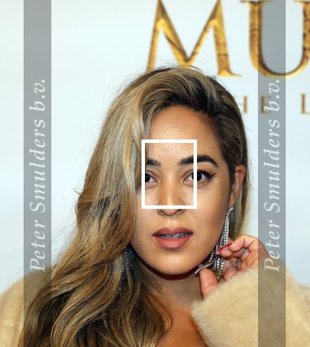 Amsterdam 17 december 2024
Premiere Mufasa (disney) in hotel l\'Europe. Jamie Li