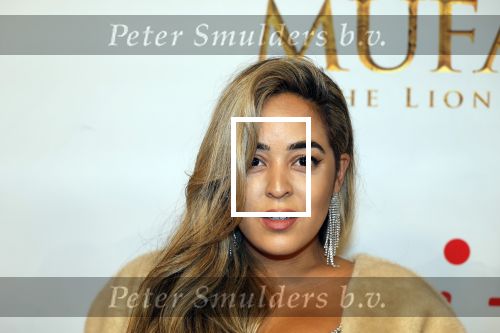 Amsterdam 17 december 2024
Premiere Mufasa (disney) in hotel l\'Europe. Jamie Li