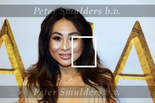 Amsterdam 17 december 2024
Premiere Mufasa (disney) in hotel l\'Europe. janine Kho