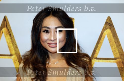 Amsterdam 17 december 2024
Premiere Mufasa (disney) in hotel l\'Europe. janine Kho