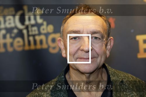 Tilburg 22 december 2024
Premiere theatershow Efteling in schouwburg van Tilburg . Jon v Eerd 10 kg sfgevallen