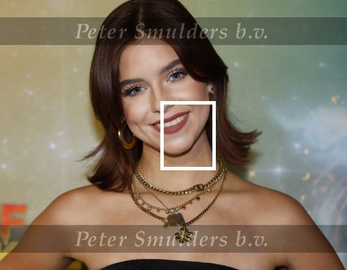 Amsterdam 8 december 2024
Premiere Juf Brakel in Pathe Arena met in de hoofdrollen Nicolette v Dam Martijn Fischer Annette Barlo Ditmar Marlin Flint de Man Floris Gobel Annick Boer Aram v d Rest Bart Oomen Carolina Dijkhuizen ea. Joyliana de Jong