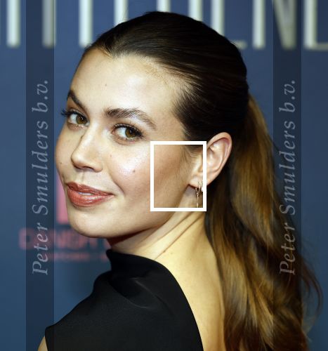 Amsterdam 9 december 2024
Premiere Schitetrend met in de hoofdrollen Holly Brood Gijs Scholten v Asschat Caro Lenssen Hannah Hoekstra Maarten Heijemans Bobbie Mulder Sidar Toksoz  in Tuschinski. Julia Koopman