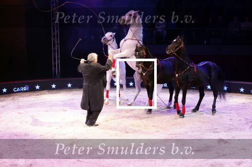 Amsterdam 18 december 2024
Kerstcircus in Carre.