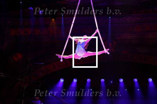 Amsterdam 18 december 2024
Kerstcircus in Carre.