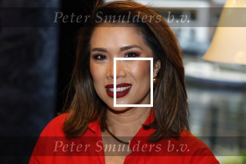 Amsterdam 11 december 2024
Presentatie cover Grazia met daarop Maria Tailor in het Andaz hotel. Kimmylien Nguyen