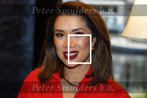 Amsterdam 11 december 2024
Presentatie cover Grazia met daarop Maria Tailor in het Andaz hotel. Kimmylien Nguyen