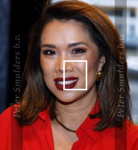 Amsterdam 11 december 2024
Presentatie cover Grazia met daarop Maria Tailor in het Andaz hotel. Kimmylien Nguyen