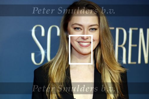 Amsterdam 9 december 2024
Premiere Schitetrend met in de hoofdrollen Holly Brood Gijs Scholten v Asschat Caro Lenssen Hannah Hoekstra Maarten Heijemans Bobbie Mulder Sidar Toksoz  in Tuschinski. Lisa Zweerman
