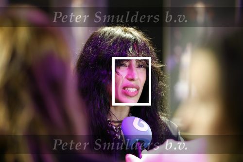 Amsterdam 12 december 2024
Tweevoudig songfestival winnares Loreen in het ziggo dome