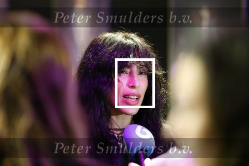 Amsterdam 12 december 2024
Tweevoudig songfestival winnares Loreen in het ziggo dome
