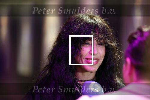 Amsterdam 12 december 2024
Tweevoudig songfestival winnares Loreen in het ziggo dome