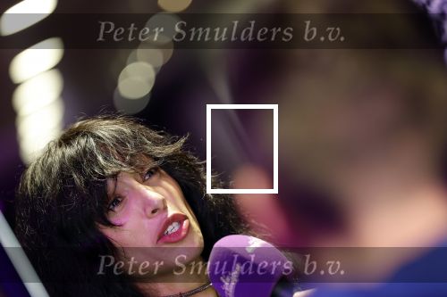 Amsterdam 12 december 2024
Tweevoudig songfestival winnares Loreen in het ziggo dome