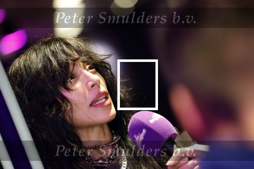 Amsterdam 12 december 2024
Tweevoudig songfestival winnares Loreen in het ziggo dome