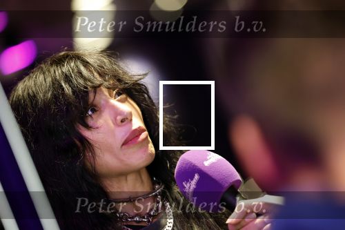 Amsterdam 12 december 2024
Tweevoudig songfestival winnares Loreen in het ziggo dome