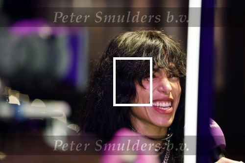 Amsterdam 12 december 2024
Tweevoudig songfestival winnares Loreen in het ziggo dome