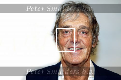 Amsterdam 17 december 2024
Premiere Mufasa (disney) in hotel l\'Europe. Maarten Dammers met partner