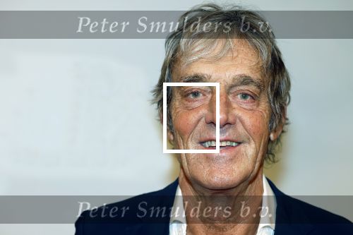 Amsterdam 17 december 2024
Premiere Mufasa (disney) in hotel l\'Europe. Maarten Dammers met partner