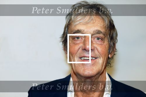 Amsterdam 17 december 2024
Premiere Mufasa (disney) in hotel l\'Europe. Maarten Dammers met partner