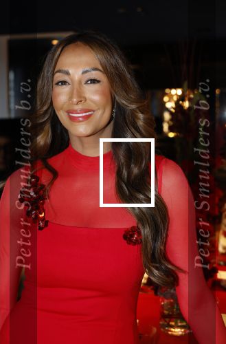 Amsterdam 11 december 2024
Presentatie cover Grazia met daarop Maria Tailor in het Andaz hotel.
