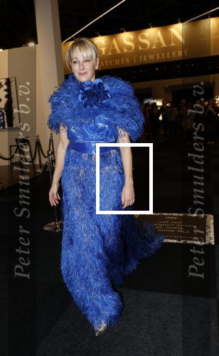 Amsterdam 14 november 2024
VIP Day Masters Expo in de RAI. Marianne Timmer liep mee met modeshow Addy v d Krommenacker